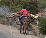 5D3 2431  Taken at Latitude/Longitude:30.697822/-8.153129. 0.75 km North-West Tarhzout Souss-Massa-Dra Morocco   (Map link) : 0.75  Km to Tarhzout  in Souss-Massa-Dra Morocco, Morocco, Souss-Massa-Dra, Tarhzout, geo:lat=30.697822, geo:lon=-8.153129, geotagged, 0, 153129, 697822, 75  Km to Tarhzout  in Souss-Massa-Dra Morocco, geo:lat=30, geo:lon=-8, geotagged, Morocco, Souss-Massa-Dra, Tarhzout, 0, 153129, 697822, 75  Km to Tarhzout  in Souss-Massa-Dra Morocco, geo:lat=30, geo:lon=-8, geotagged, Morocco, Souss-Massa-Dra, Tarhzout